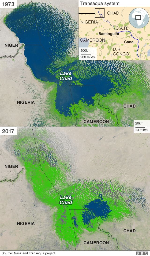 Lake Chad Trees Keep Deadly Drought at Bay