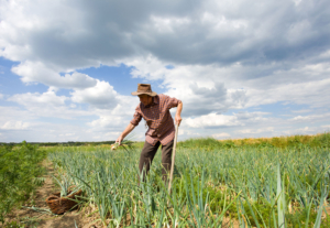 Rural Areas in Latin America Slide into Poverty