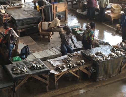 Aldelano Solar Solutions Visits Senegal Fish Markets
