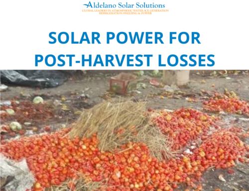 Solar Power for Post Harvest Losses