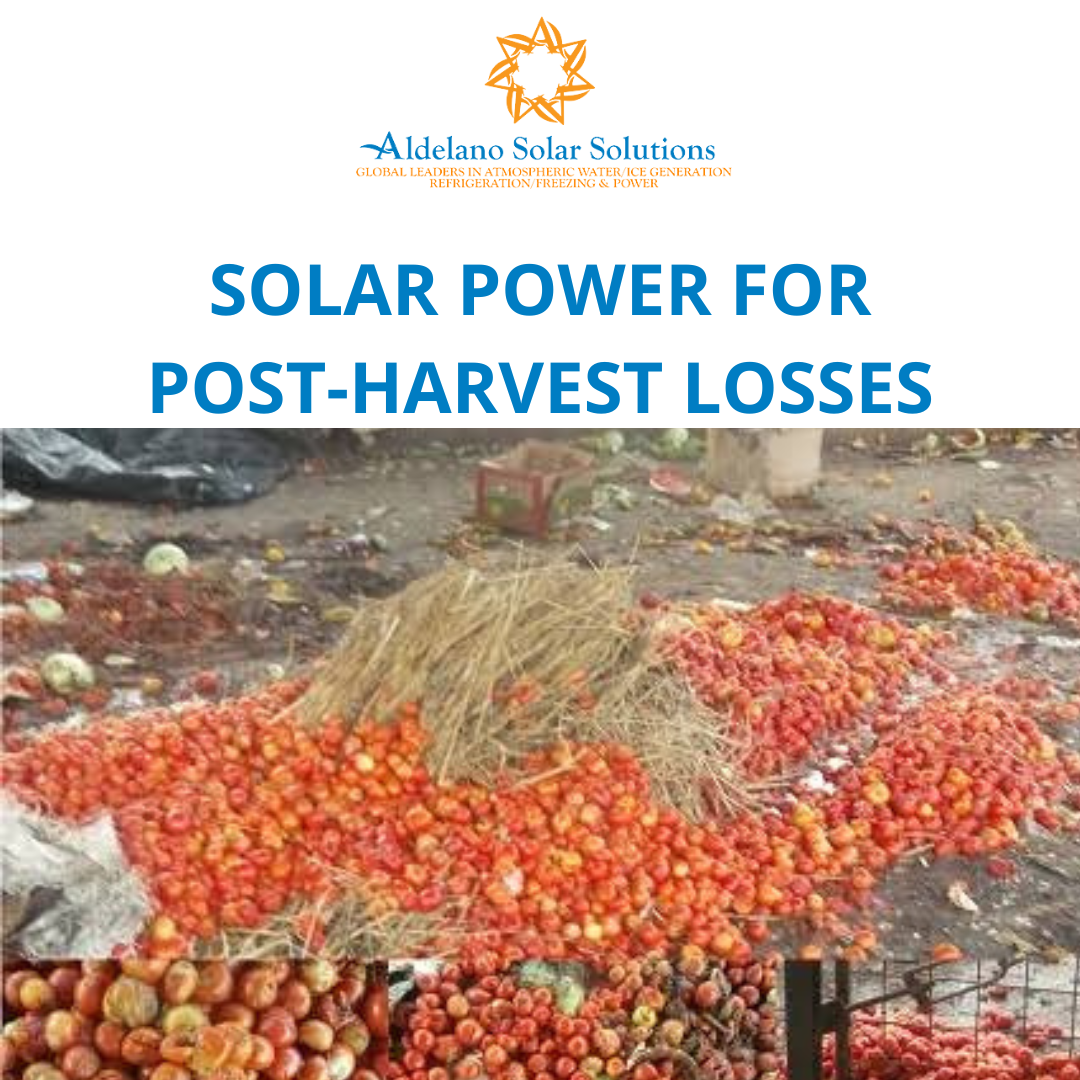 Solar Power for Post-Harvest Losses