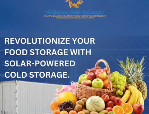 Revolutionize Your Food Storage with Solar-Powered Cold Storage