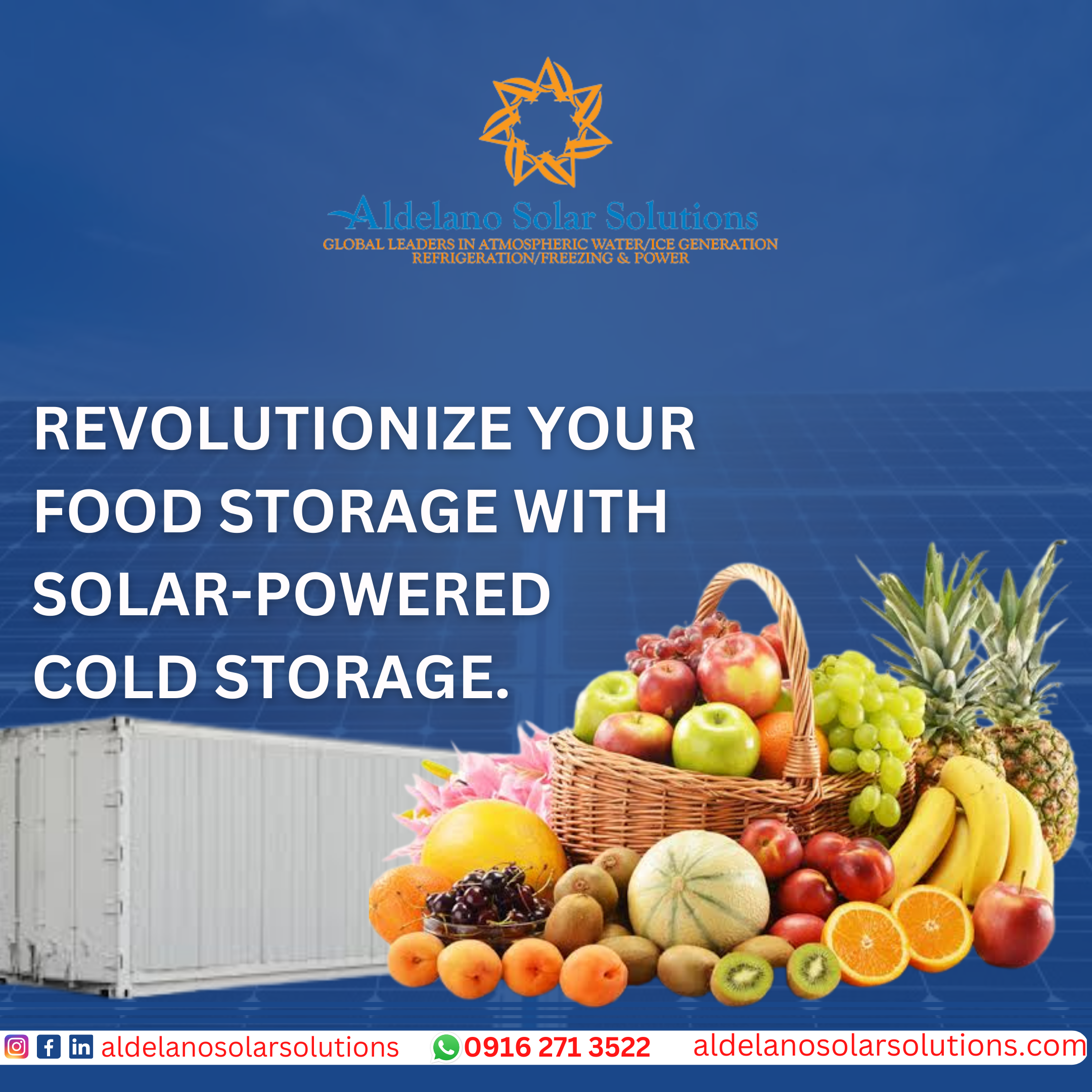 Revolutionize your food storage with solar-powered cold storage