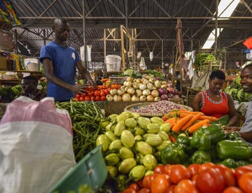How Cold Storage Solutions Are Powering Africa’s Agribusiness